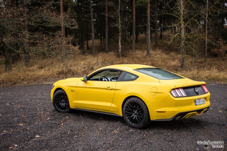 Ford Performance – yhden kierroksen kilpailu